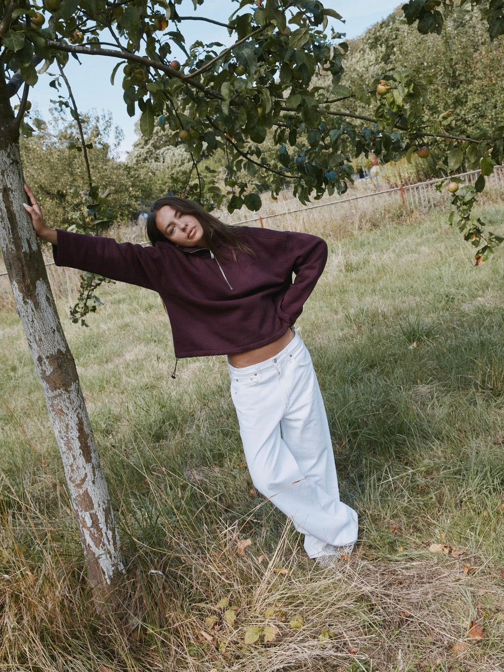HEY SOHO TECHNO SWEATSHIRT I plum